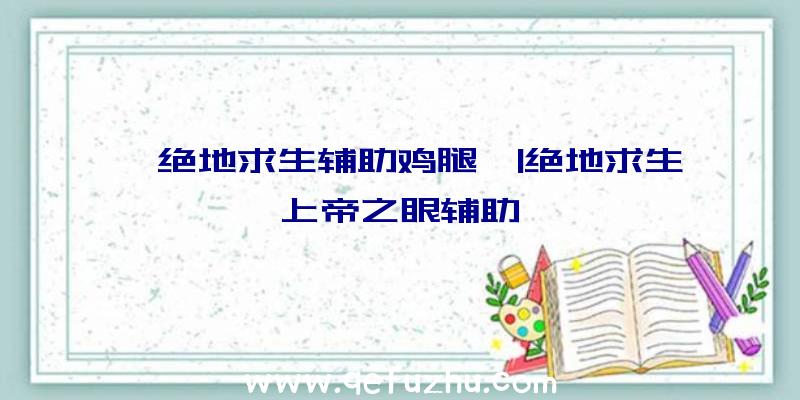 「绝地求生辅助鸡腿」|绝地求生上帝之眼辅助